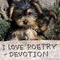 Love Of Poetry